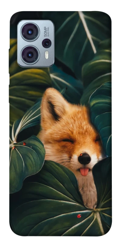 Чохол на Motorola Moto G23 Fox фото 1 з 1