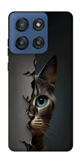 Чехол на Motorola Edge 60 Stylus Кот-подглядыватель v2 фото 1 из 1