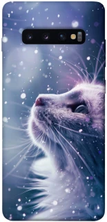 Чехол на Samsung Galaxy S10+ Snow cat фото 1 из 1