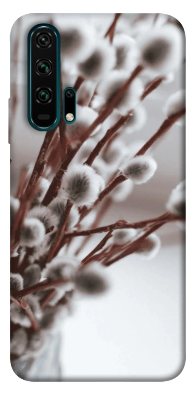 Чохол на Huawei Honor 20 Pro Magic фото 1 з 1