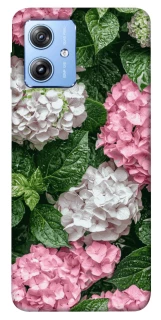 Чехол на Motorola Moto G84 Secret Garden фото 1 из 1