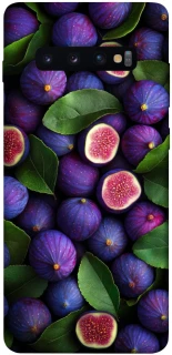 Чехол на Samsung Galaxy S10+ Figs фото 1 из 1