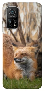 Чехол на Xiaomi Mi 10T Лиса фото 1 из 1