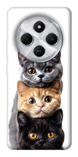 Чохол на Xiaomi Redmi 14C / Poco C75 Гарні котики фото 1 з 1
