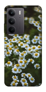 Чохол на Realme C75 Ромашки v13 фото 1 з 1