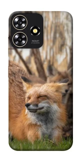 Чохол на ZTE Blade A73 4G Лисиця фото 1 з 1