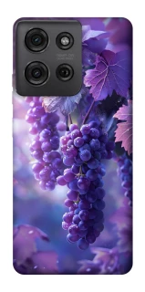 Чохол на Motorola Moto G75 Bunch of grapes фото 1 з 1