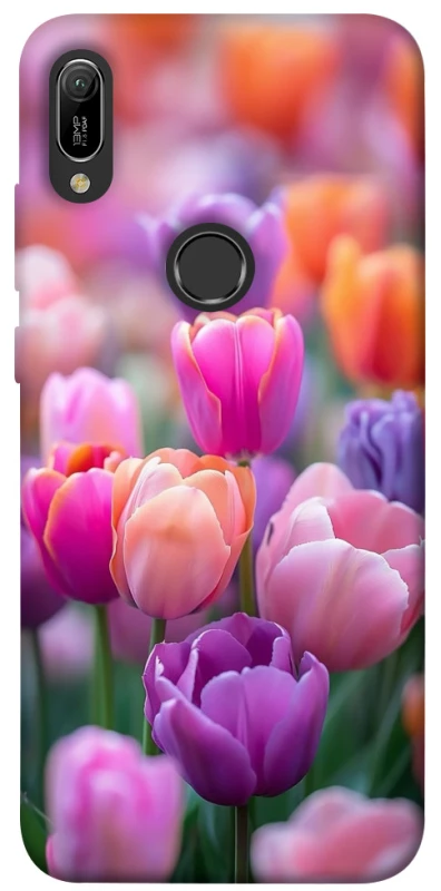 Чохол на Huawei Y6 (2019) Тюльпанове поле фото 1 з 1
