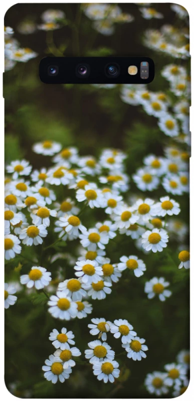 Чохол на Samsung Galaxy S10 Ромашки v13 фото 1 з 1