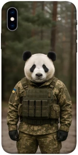Чехол на Apple iPhone X (5.8") Панда защитник фото 1 из 1