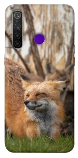 Чехол на Realme 5 Pro Лиса фото 1 из 1