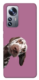 Чохол на Xiaomi 12 / 12X А що тут фото 1 з 1