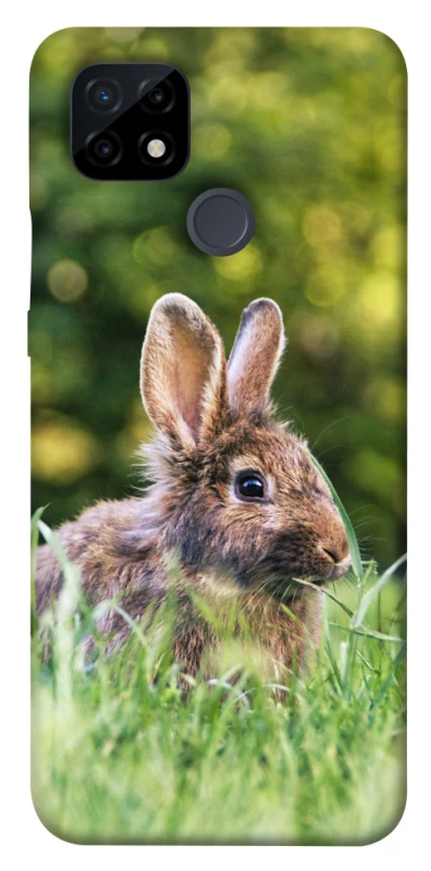 Чехол на Realme C21 Кролики фото 1 из 1