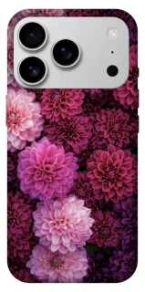 Чехол на Apple iPhone 17 Pro Max (6.9") Garden1 фото 1 из 1