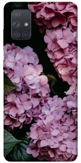 Чохол на Samsung Galaxy A71 Рожеві гартензії фото 1 з 1