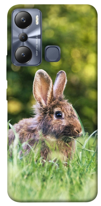 Чехол на Infinix Hot 20i Кролики фото 1 из 1