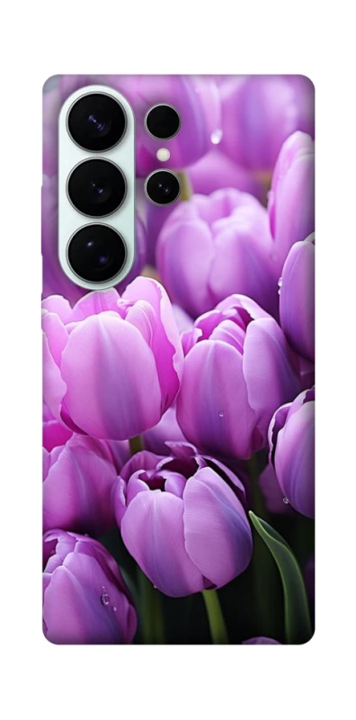 Чохол на Samsung Galaxy S26 Фіолетові тюльпани фото 1 з 1