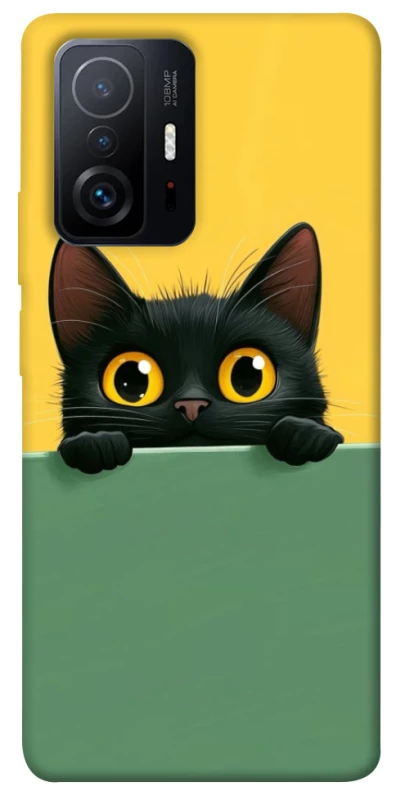 Чохол на Xiaomi 11T / 11T Pro Black cat v2 фото 1 з 1