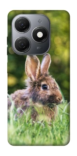 Чехол на TECNO Spark 20 Кролики фото 1 из 1