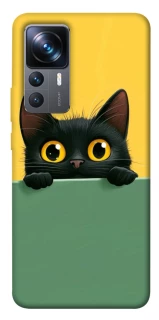 Чехол на Xiaomi 12T / 12T Pro Black cat v2 фото 1 из 1