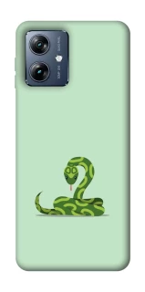 Чохол на Motorola Moto G54 Power Змійка фото 1 з 1