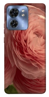 Чохол на Motorola Edge 40 Elegance фото 1 з 1