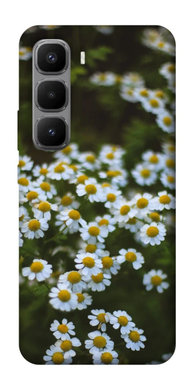 Чехол на Infinix Hot 60 Pro+ Ромашки v13 фото 1 из 1