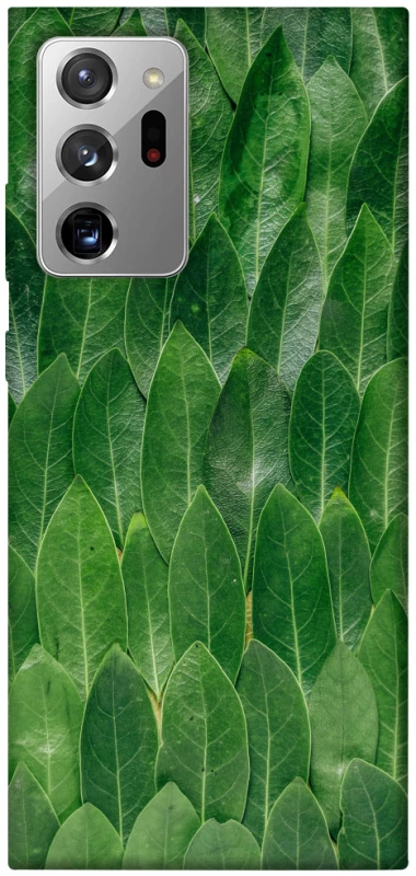 Чохол на Samsung Galaxy Note 20 Ultra Листя фото 1 з 1