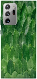 Чехол на Samsung Galaxy Note 20 Ultra Листья фото 1 из 1