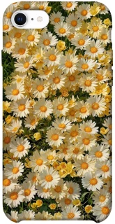 Чехол на Apple iPhone SE (2020) Camomile фото 1 из 1
