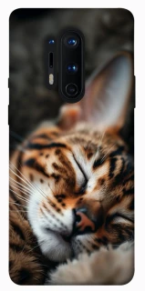 Чохол на OnePlus 8 Pro Cat paws фото 1 з 1