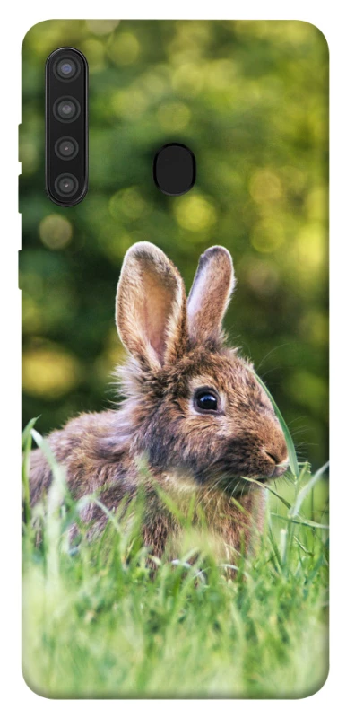 Чехол на Samsung Galaxy A21 Кролики фото 1 из 1