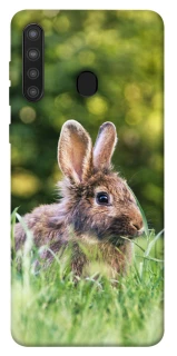 Чехол на Samsung Galaxy A21 Кролики фото 1 из 1