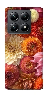 Чохол на Xiaomi 14T Pro Bouquet фото 1 з 1
