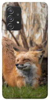 Чехол на Samsung Galaxy A72 4G / A72 5G Лиса фото 1 из 1