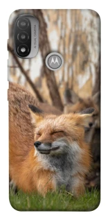 Чохол на Motorola Moto E20 Лисиця фото 1 з 1