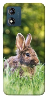 Чехол на Motorola Moto E13 Кролики фото 1 из 1