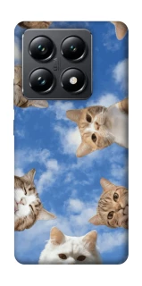 Чохол на Xiaomi 14T Pro Сats фото 1 з 1