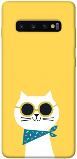 Чехол на Samsung Galaxy S10+ Кот-муркот фото 1 из 1