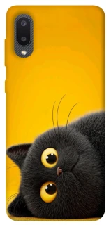 Чохол на Samsung Galaxy A02 This is Cat фото 1 з 1