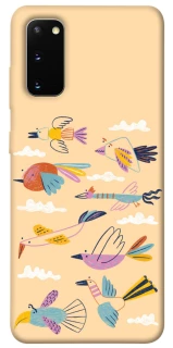 Чехол на Samsung Galaxy S20 Перелёт фото 1 из 1