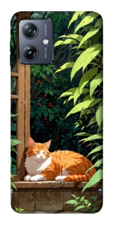 Чохол на Motorola Moto G54 red cat фото 1 Чохол на Motorola Moto G54 red cat фото 1 з 1