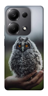 Чехол на Xiaomi Redmi Note 13 Pro 5G Совёнок фото 1 из 1
