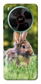 Чехол на ZTE Nubia V70 Max Кролики фото 1 из 1