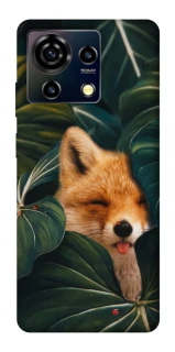 Чехол на ZTE Blade V50 Vita Fox фото 1 из 1