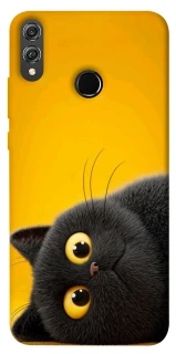 Чохол на Huawei Honor 8X This is Cat фото 1 з 1