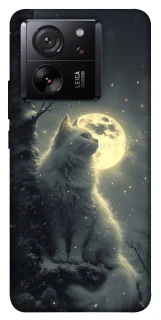 Чохол на Xiaomi 13T Pro Кіт під місяцем фото 1 з 1