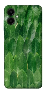 Чехол на Samsung Galaxy A06 Листья фото 1 из 1