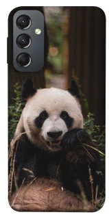Чехол на Samsung Galaxy A24 4G Панда фото 1 из 1