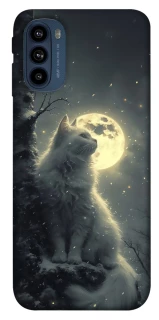 Чехол на Motorola Moto G41 Кот под луной фото 1 из 1